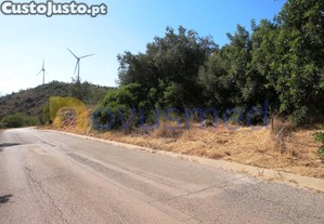 imagem_3