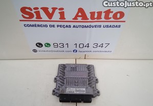 imagem_1