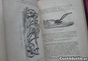 imagem_6