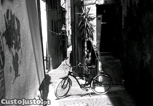 imagem_8