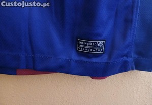 imagem_6