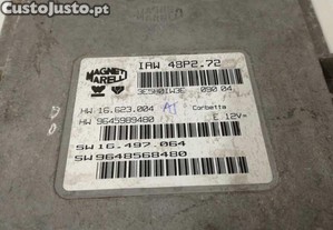 imagem_2
