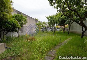 imagem_35