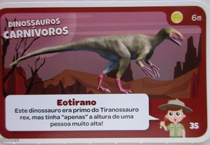 imagem_7