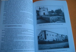 imagem_7