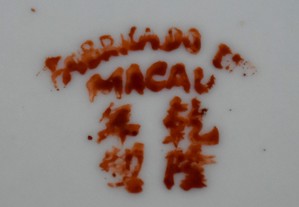 imagem_13