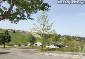 imagem_15