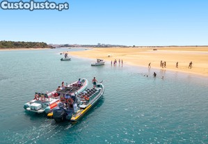 imagem_19