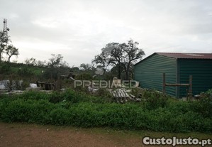 imagem_7