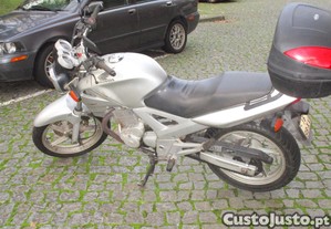 imagem_2