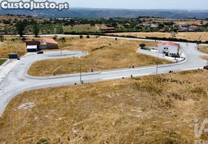 imagem_6