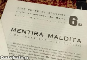 imagem_8