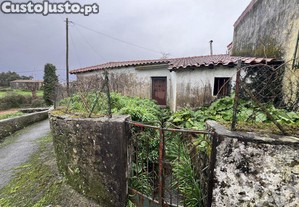 imagem_29