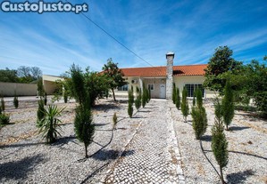 imagem_33