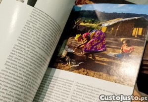imagem_6