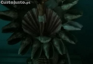 imagem_7