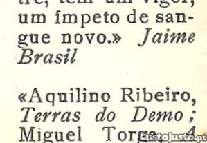 imagem_8