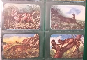 Série numerada de 12 calendários de 1985, tema animais