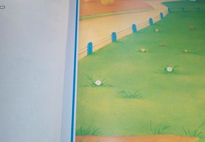 imagem_2