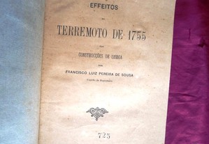 Efeitos do terramoto de 1755 nas construções de Lisboa. 1909