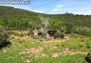 imagem_11