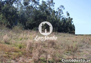 imagem_17