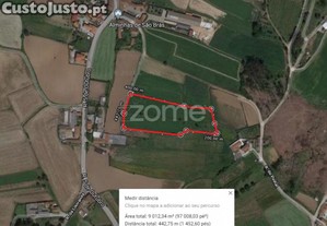 Terreno Rústico Com 5.000 M2 Em Fradelos V.N....