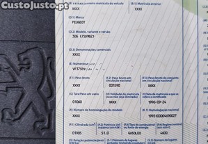 imagem_11