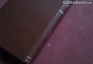 imagem_6