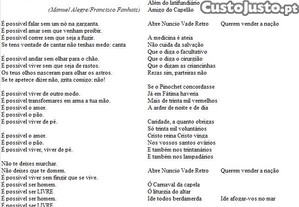 imagem_8