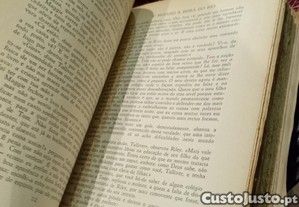 imagem_8