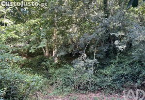imagem_13