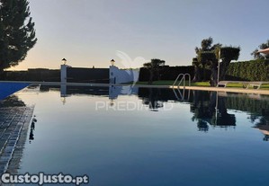 imagem_11