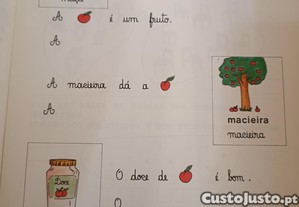 imagem_5