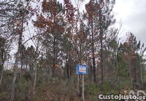 Terreno Agrícola em Sabugal e Aldeia de Santo António