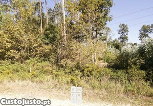 imagem_8