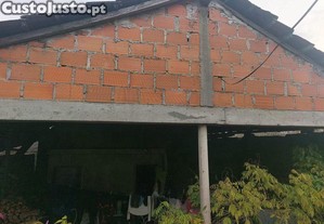 imagem_12