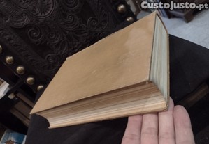 imagem_7