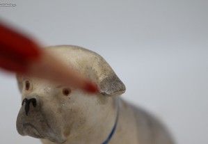 imagem_6