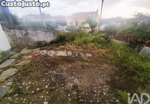 imagem_35