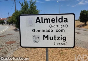 imagem_16