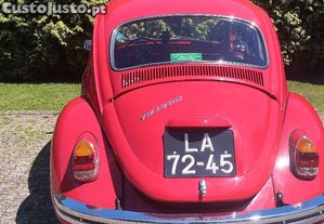 imagem_12