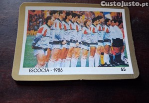 imagem_6