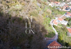 imagem_7