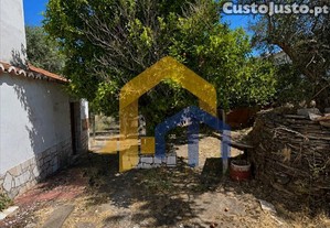 imagem_18