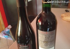 imagem_5