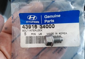 Parafuso Hyundai 43916-34000