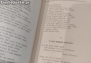imagem_8