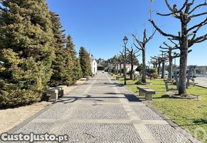 imagem_26