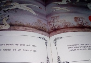 imagem_7